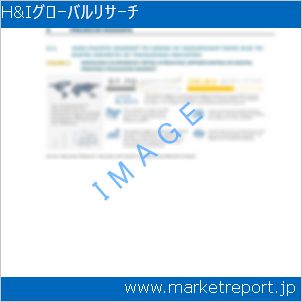 市場と産業調査レポートのイメージ